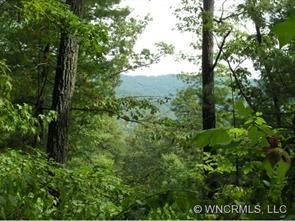 Lot 20 Black Oak Drive sold home in The Forest, Asheville, NC
