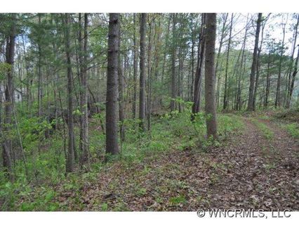 000 Us Hwy 19 E N 7 sold home in Riverside Hills, Burnsville, NC