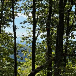 400 High Hickory Trail
