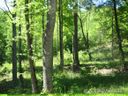 0 Justice Drive sold home in Lake Lure, SC