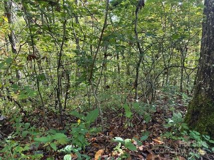 H16 H17 Shady Grove Road active home in Cedar Creek Farms, Tuckasegee, NC