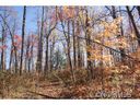 47 Cliffsview Court 15-A sold home in Zirconia, SC