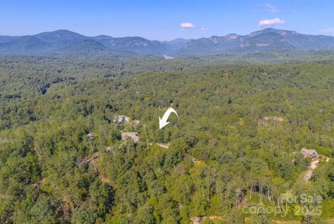 0 Willow Top Lane active home in Vista At Bills Mountain, Lake Lure, NC