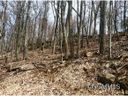 Lot 27 Chinquapin Drive sold home in Mills River, SC