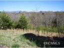 11 Adas Way 31 sold home in Weaverville, SC