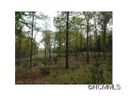 L1 Flint Rock Trace sold home in Cedar Mountain, SC
