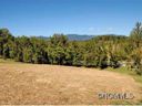 41 Bradford Vistas Lot 6 sold home in Fletcher, SC