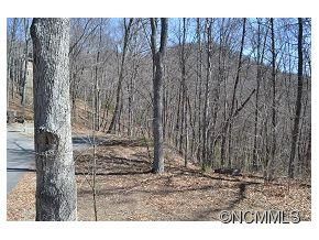 Lot 22 Silent Forest Drive