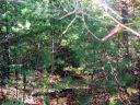 Lot 85a Doubletree Lane 85A sold home in Almond, SC