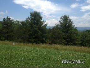Lot 38 Water Hill Way sold home in Grand Highlands Waterford Lake, Fletcher, NC