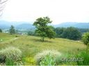Lot 3 Smith Knolls Road sold home in Fairview, SC