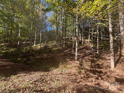 9 Susanna Cove active home in Trillium Glen, Mars Hill, NC
