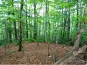 46 Fox Den sold home in Brevard, SC