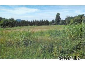Lot 5 Benton Farms Ln sold home in Woodbridge, Horse Shoe, NC