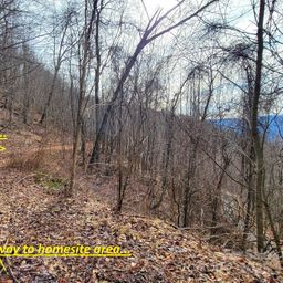 75 Rimrock Ridge