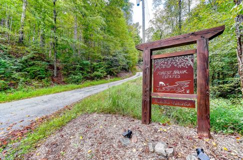 99999 Forest Brook Drive