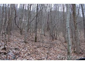 77 Rufus sold home in Fred Campbell, Maggie Valley, NC