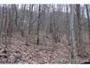 77 Rufus sold home in Maggie Valley, SC