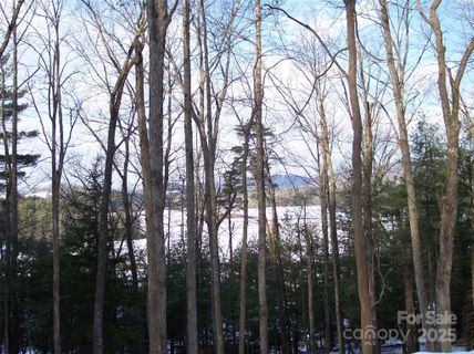 0 Tatham Road sold home in Vista At Blacksmith Mountain, Hendersonville, NC