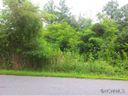 41 Timber Moss Dr Lot 40 sold home in Asheville, SC