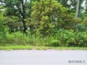 55 Timber Moss Dr Lot 42 sold home in Asheville, SC