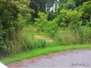57 Timber Moss Dr Lot 43 sold home in Asheville, SC