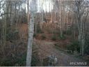 000 Bishop Lane sold home in Mill Spring, SC