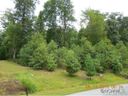 41 Flameleaf Lane sold home in Hendersonville, SC