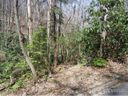 27 Rhododendron Road sold home in Black Mountain, SC