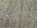 21 Indian Springs Drive sold home in Waynesville, SC