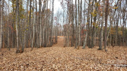 1056 Stephens Trail Road