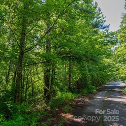 Lot 31 Line Drive