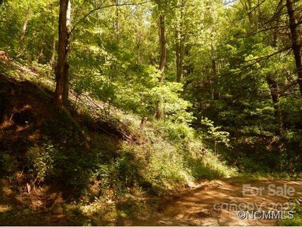 00 Vireo Lane sold home in Heaths Peak, Waynesville, NC
