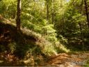 00 Vireo Lane sold home in Waynesville, SC
