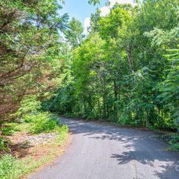 Lot 20 Line Drive