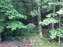 Lot 18 Kanuga Ridge sold home in Hendersonville, SC