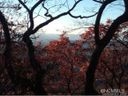 0 Chestnut Mountain Lot 104 sold home in Asheville, SC