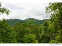 364 Chisel Rock Way sold home in Mars Hill, SC