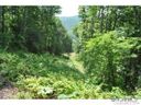 Lot 20 Silent Forest Drive sold home in Canton, SC