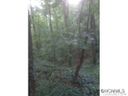 7 Woodhaven sold home in Asheville, SC