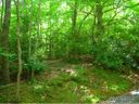 9999 Domeno Drive 19 sold home in Swannanoa, SC