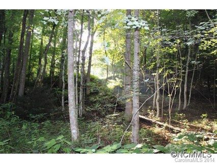 Lot 48 Off Boys Camp Road