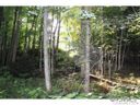Lot 48 Off Boys Camp Road sold home in Lake Lure, SC