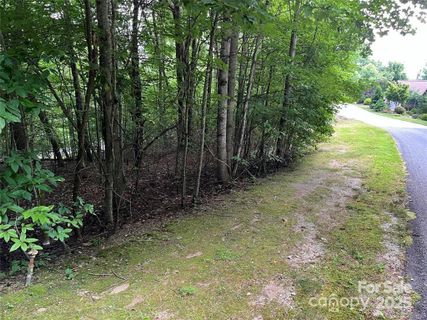 185 Ladys Fern Trail sold home in Somersby Park, Hendersonville, NC
