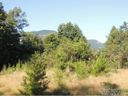 23a 24e Chapel Pt Lurewood Manor 23/24 sold home in Lake Lure, SC
