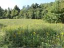 0000 Mtn Bluff Rd sold home in Hendersonville, SC