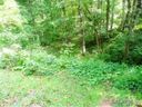 0000 Wamboldt Avenue sold home in Asheville, SC