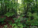 00 Lakeland Drive S3-L35 sold home in Pisgah Forest, SC