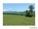 104 Governor Thomson Terrace 51 sold home in Weaverville, SC