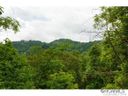 364 Chisel Rock sold home in Mars Hill, SC